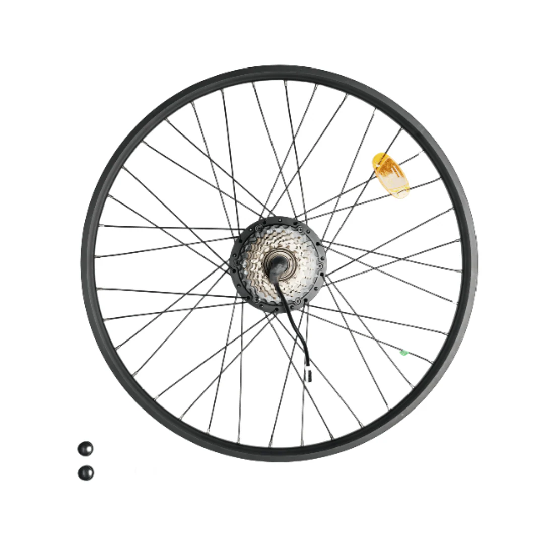 Rear Wheel Motor Replacement for U7 Electric Bike